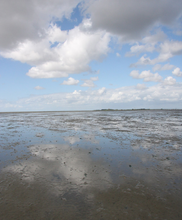 Picture of the mudflats, you can see the island Neuwerk in the background, clouds are reflected in the mud